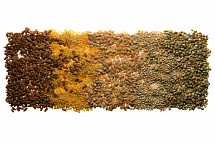 ������ ���������� �� �������